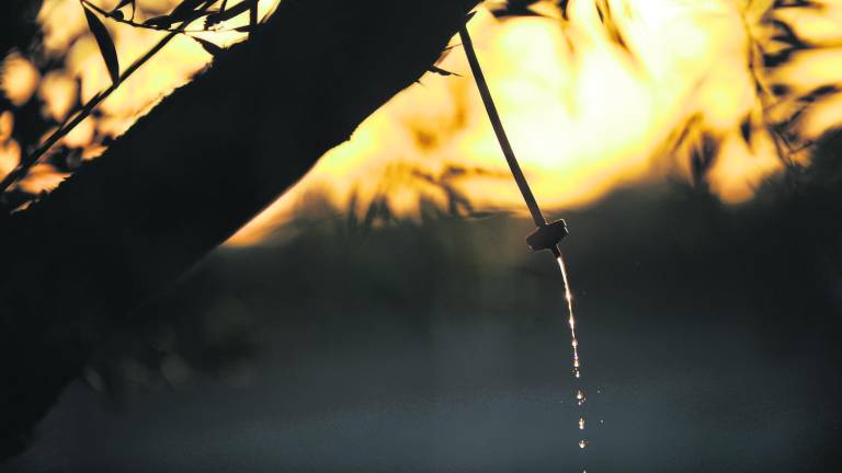 Los regantes piden agua para regar en el verano Los regantes piden agua para regar en el verano