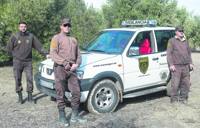EN LAS FINCAS. Tres de los vigilantes de seguridad contratados por los cooperativistas de Úbeda posan con el vehículo todoterreno en un olivar durante las labores de vigilancia.