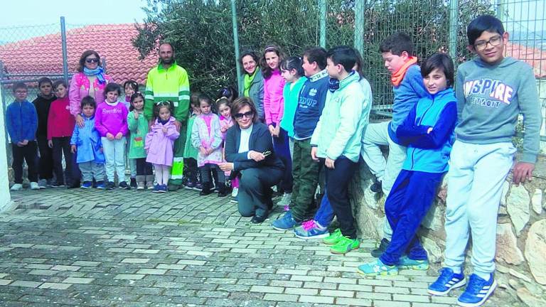 Taller de olivar en el colegio de Ermita Nueva