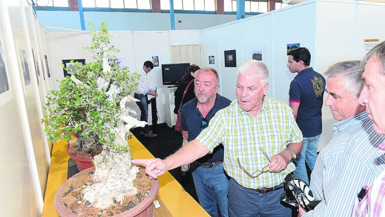 Futuroliva, una feria multitudinaria Futuroliva, una feria multitudinaria