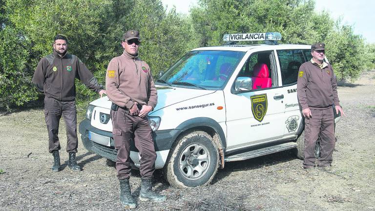 La última aceituna se protege en el tajo con guardias de seguridad