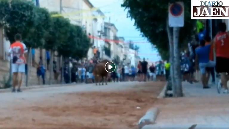 DIARIO JAÉN DIRECTO - Encierros desde Sorihuela de Guadalimar