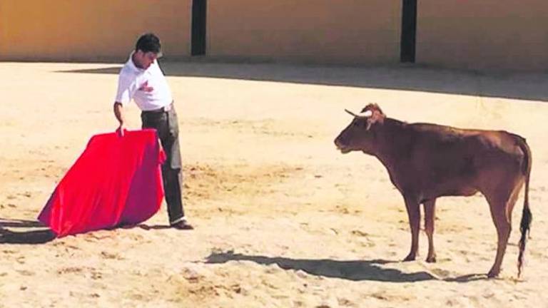 José Tomás tienta en Los Rodeos José Tomás tienta en Los Rodeos