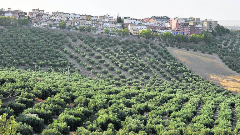 Aguas fecales, el mal de Loma del Royo