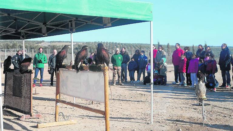 Un atractivo “extra” de Cástulo Un atractivo “extra” de Cástulo