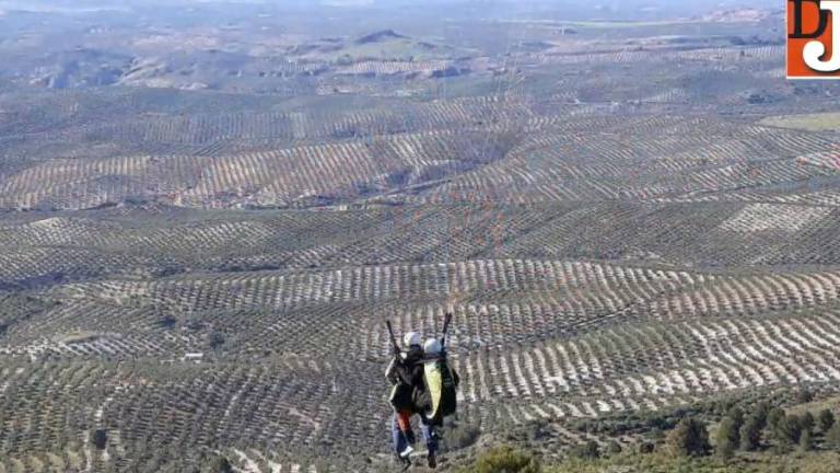 La belleza del mar de olivos vista a más de mil metros de altura