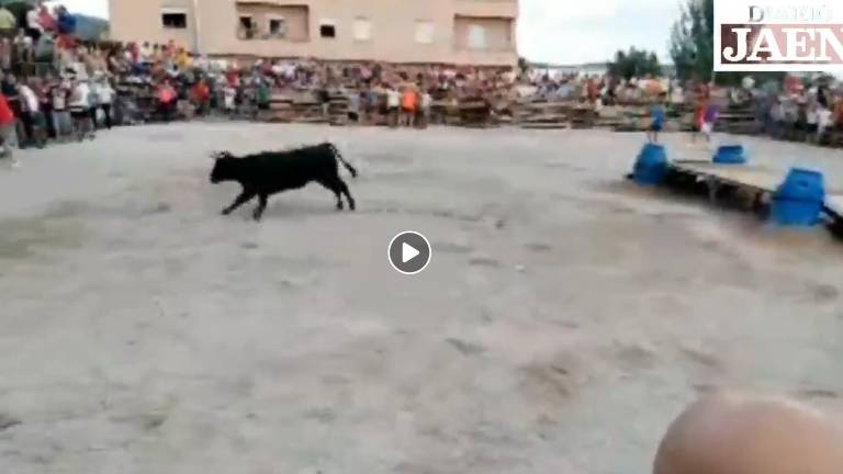 DIARIO JAÉN DIRECTO - Encierro en las fiesta de Nuestra Señora de Belén desde Noalejo DIARIO JAÉN DIRECTO - Encierro en las fiesta de Nuestra Señora de Belén desde Noalejo