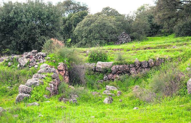Sant esteve d'en bas conocer hombres Sant esteve d'en bas conocer hombres
