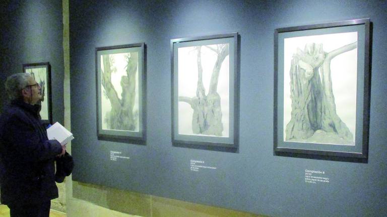 Un árbol icónico de Jaén convertido en puro arte Un árbol icónico de Jaén convertido en puro arte