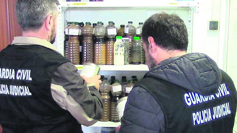 Enrique Fuentes Ibáñez, otra vez detenido por adulterar aceites Enrique Fuentes Ibáñez, otra vez detenido por adulterar aceites