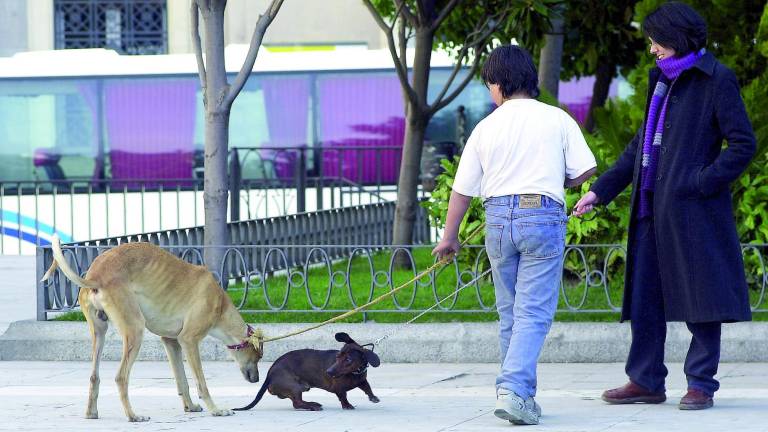 Por cada niño, hay dos perros Por cada niño, hay dos perros