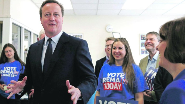 Cameron urge la permanencia