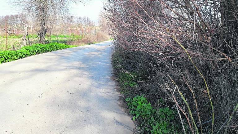 Preocupación por el estado de la carretera de Los Villares