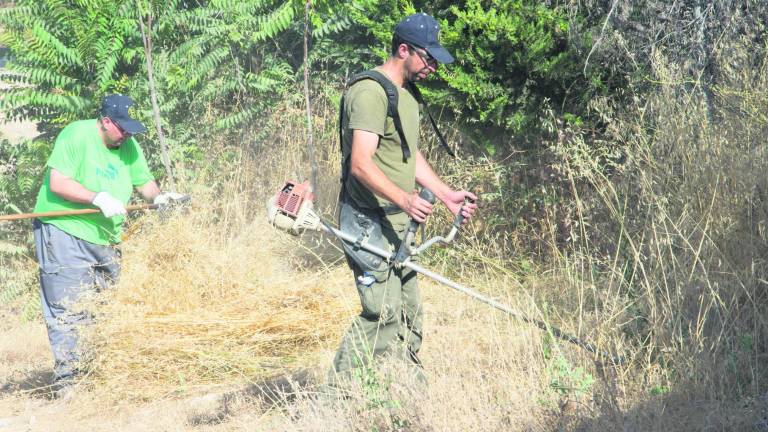Aprobado y en ejecución el presupuesto para 2019 Aprobado y en ejecución el presupuesto para 2019