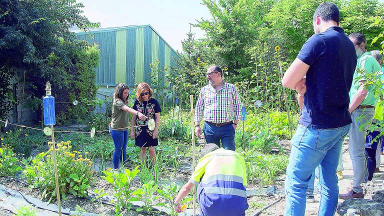 Taller de jardinería para los jóvenes discapacitados