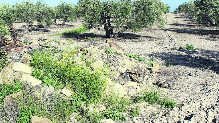 Mengíbar ve “irrecuperable” el patrimonio de Cerro Maquiz Mengíbar ve “irrecuperable” el patrimonio de Cerro Maquiz