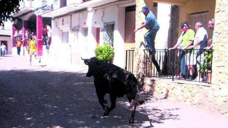 Encierros taurinos y mucho fervor