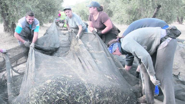 Mujer, clave en el mundo rural Mujer, clave en el mundo rural