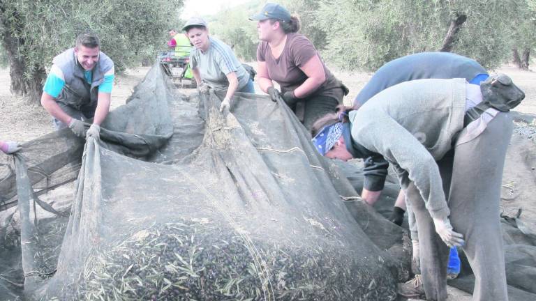 Mujer, clave en el mundo rural