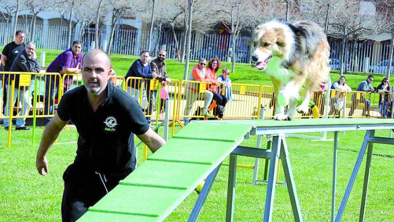 Exhibición canina en el Parque del Bulevar Exhibición canina en el Parque del Bulevar