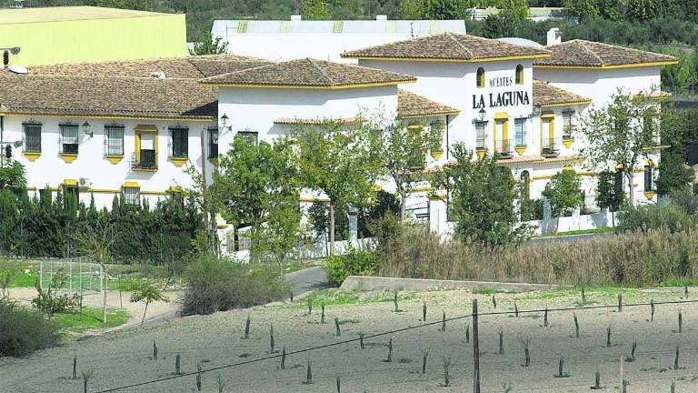 Aceites La Laguna de Baeza, a la venta por cinco millones Aceites La Laguna de Baeza, a la venta por cinco millones