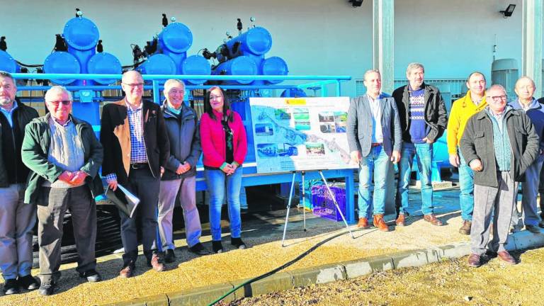 Planta solar en El Molar para 549 hectáreas de olivar