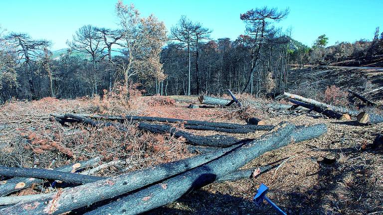 El 86% de los 165 incendios se quedan en meros conatos El 86% de los 165 incendios se quedan en meros conatos