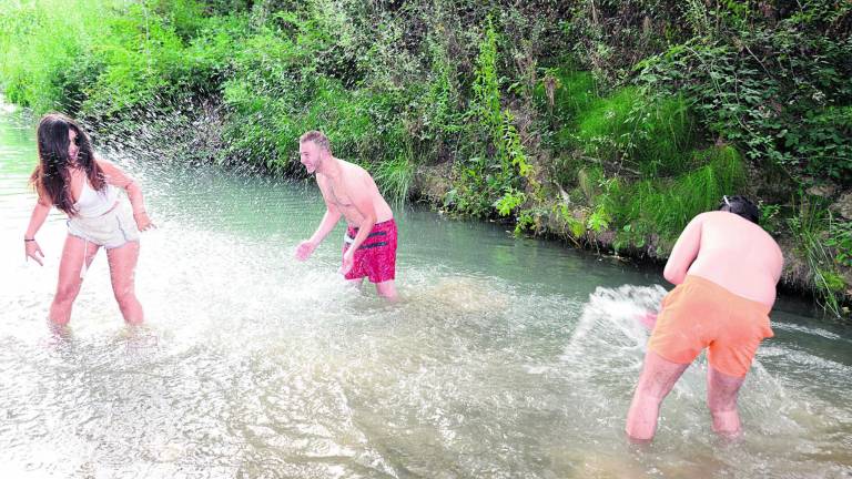 El calor otorga una tregua temporal al mar de olivos