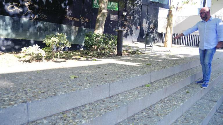 Una bandada de grajos se adueña de la Plaza Rosales Una bandada de grajos se adueña de la Plaza Rosales