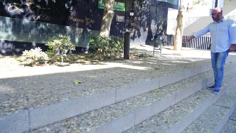 Una bandada de grajos se adueña de la Plaza Rosales