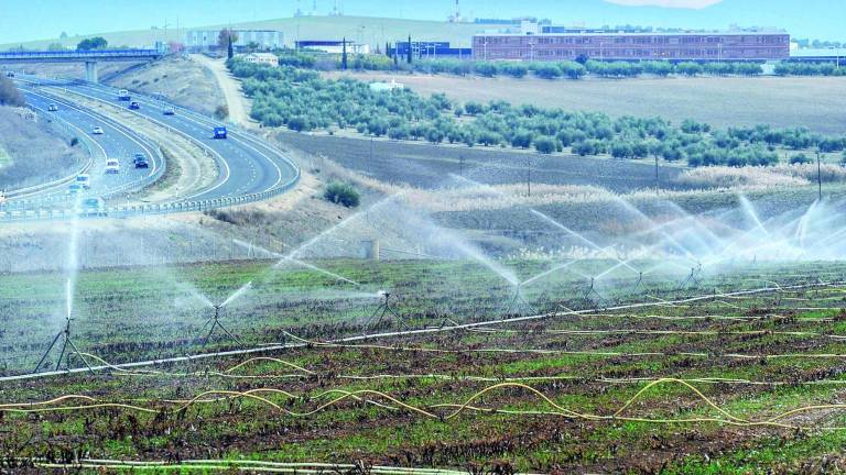 El campo se riega, como en verano, a finales de diciembre El campo se riega, como en verano, a finales de diciembre