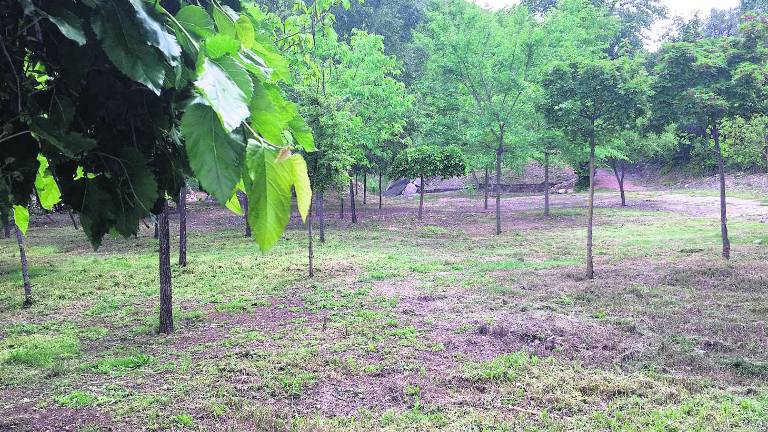 Merendero para mejorar el nacimiento del río San Juan Merendero para mejorar el nacimiento del río San Juan