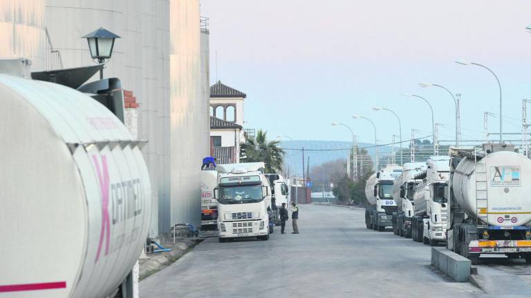Los españoles compran más aceite y levantan el mercado Los españoles compran más aceite y levantan el mercado