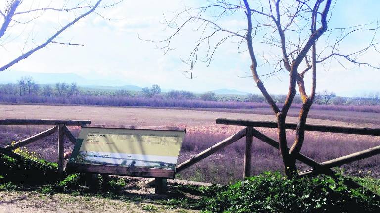 Los problemas de La Laguna se agravan debido a la sequía Los problemas de La Laguna se agravan debido a la sequía