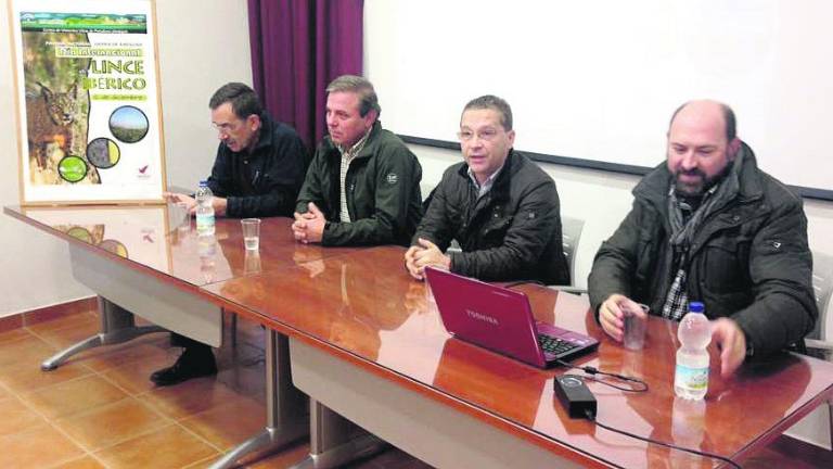 Esfuerzos para salvar al lince Esfuerzos para salvar al lince