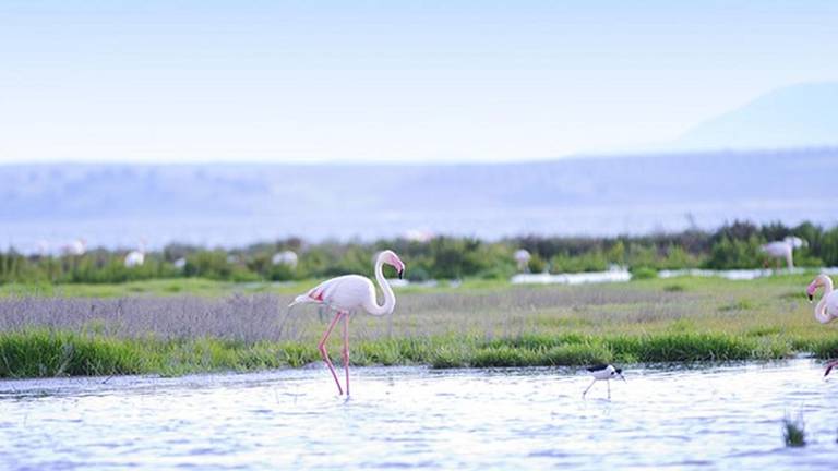 MÁLAGA. Una laguna única en Antequera MÁLAGA. Una laguna única en Antequera
