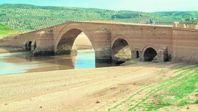 Firmas para la salvación del puente de Ariza Firmas para la salvación del puente de Ariza