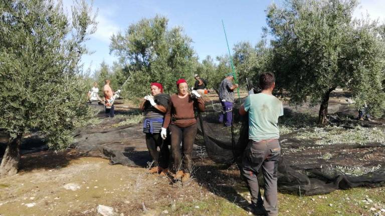 Un año más, Jaén repite su historia