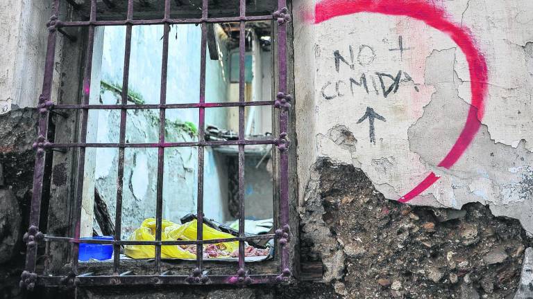 Solar abandonado y “retiro para gatos” en Santo Domingo Bajo Solar abandonado y “retiro para gatos” en Santo Domingo Bajo