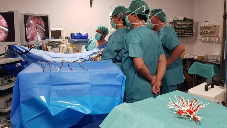 Dos nuevas técnicas para mejorar las cirugías de patologías respiratorias Dos nuevas técnicas para mejorar las cirugías de patologías respiratorias