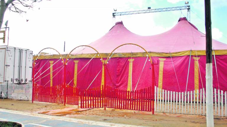 Un tigre escapa de un circo en Andújar el día de San Valentín Un tigre escapa de un circo en Andújar el día de San Valentín