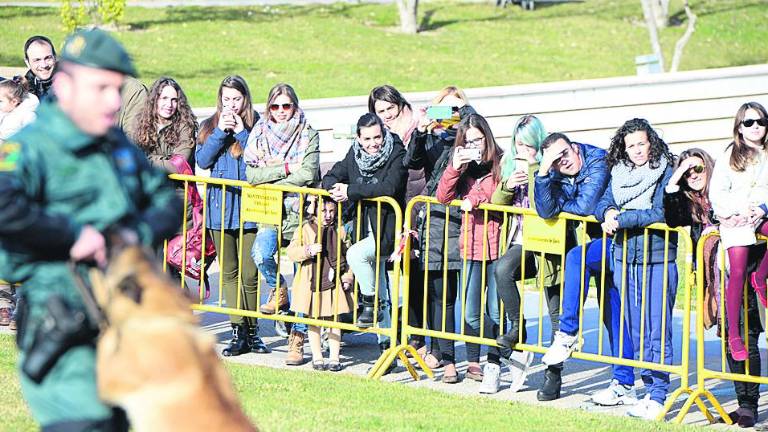 Las Fuerzas de Seguridad exhiben su “poderío canino”