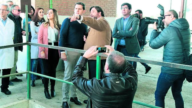 A Albert Rivera le atrae el aceite A Albert Rivera le atrae el aceite