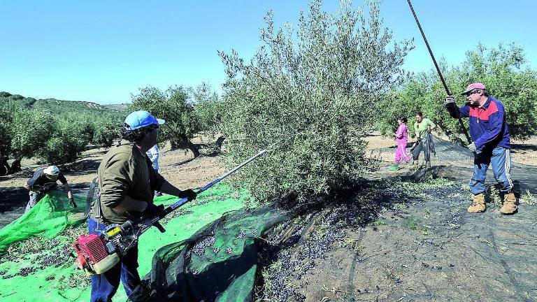 El anticipo de las ayudas ya se ingresa a los agricultores