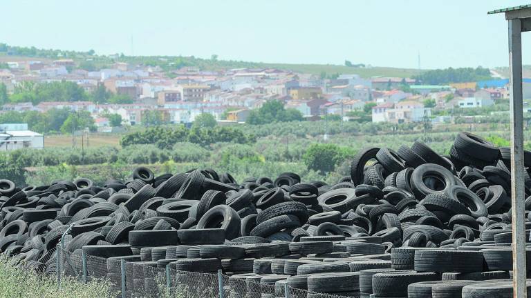Un “Seseña” entre olivos Un “Seseña” entre olivos