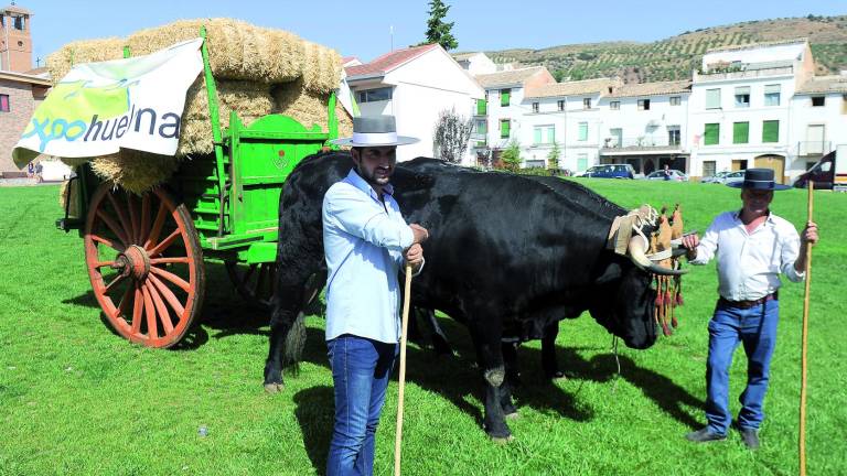 Expohuelma es buen negocio