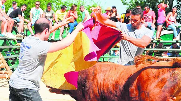 Espectaculares estampas taurinas