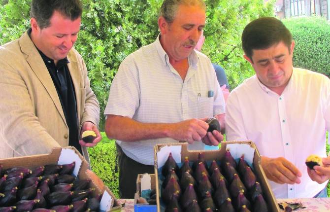 PRESENTACIÓN. Pedro Bruno, Juan Manuel García y Francisco Reyes en el inicio de esta Muestra.