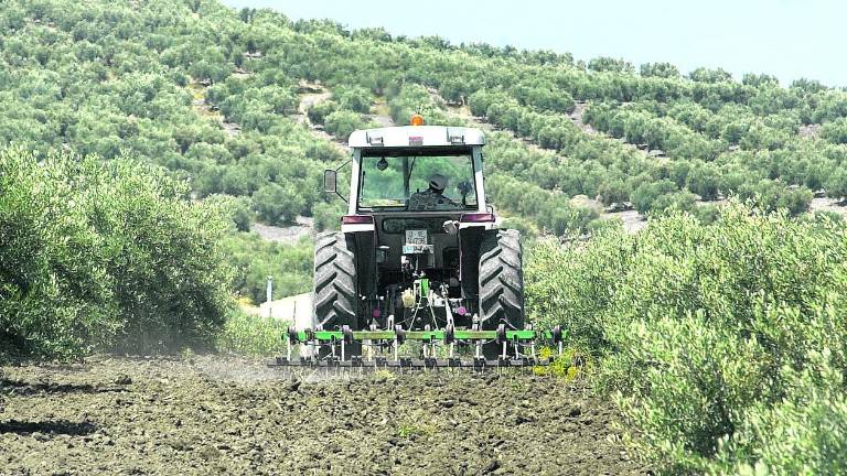 El “timo” del curso para ser el mejor tractorista del olivar El “timo” del curso para ser el mejor tractorista del olivar