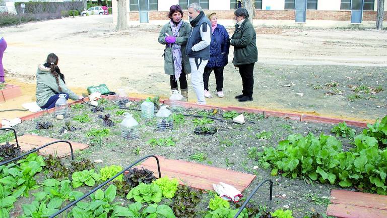 Potaje social con espinacas del ecohuerto universitario